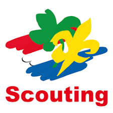 Scouts en ligne