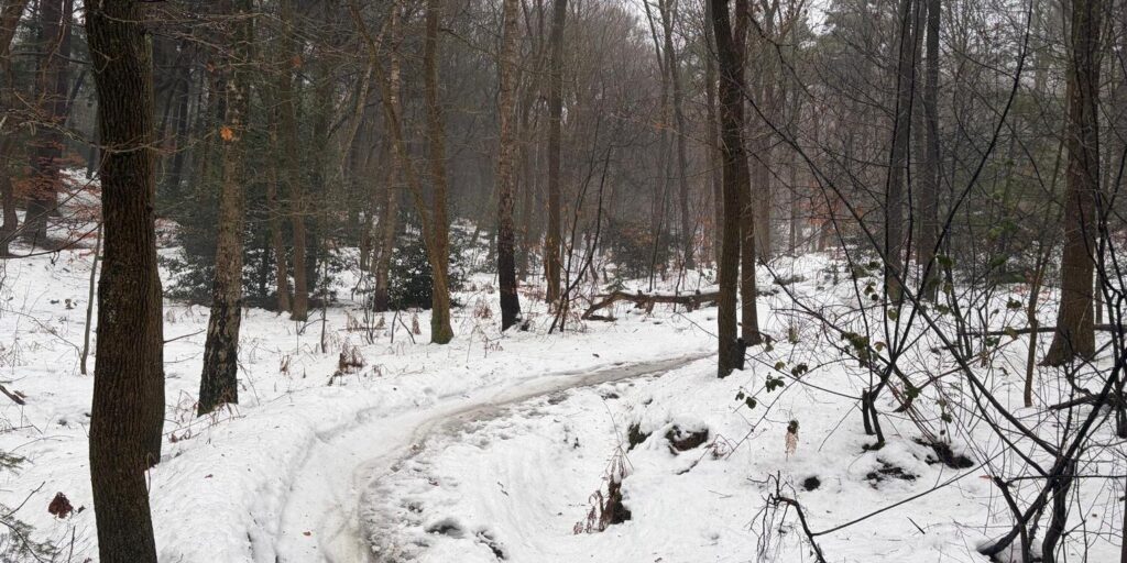 Mountainbike route Utrechtse Heuvelrug in de winter onderhouden door vrijwilligers in de vrijwilligers app